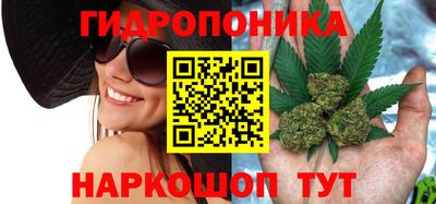 наркотики Кандалакша