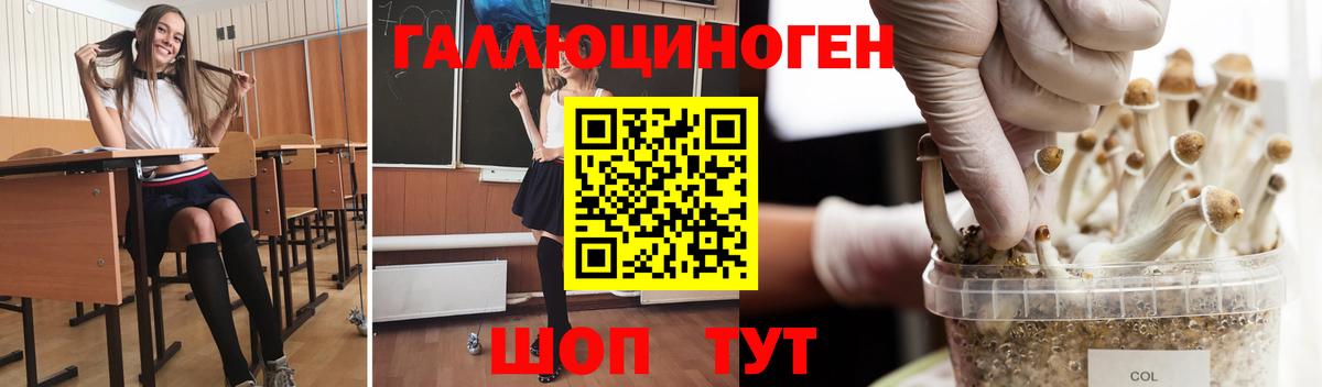 Псилоцибиновые грибы MAGIC MUSHROOMS  Псилоцибиновые грибы мухоморы  Вход с VPN  Красноармейск 